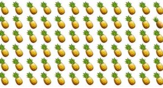 Hádanka s ananasem, výzva pro rychlé rozpoznání do 3 sekund.