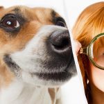 Jen opravdový IQ titán uvidí psa na sněhu za 10